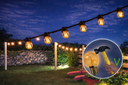 6 Ampoules Incassable TEMPEST E27/G55 Fil. LED 1W 1700K - Antic (Soit 2.95€/pc)