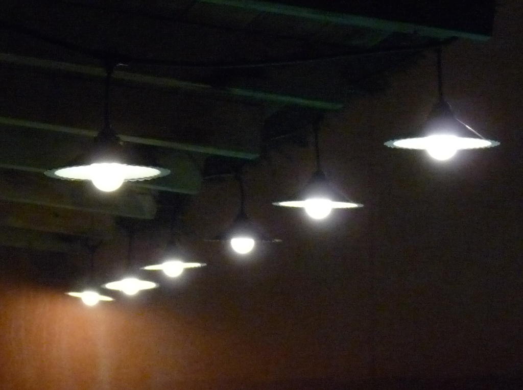 8606-33-30L - Guirlande 6m 8xE27 Coupelle