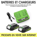 F500 - Adaptateur pour Batteries 24 V type Electroportatif