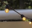 G11x6 - 6 Amp. Incassable E27/G55 Fil. LED 1W 1700K - Antic (Soit 2.95€/pc)