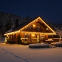 9520 - EXTENSION - Guirlande 60 LEDS (Fixe) - 6 m - Fil Noir - Blanc Chaud 2200°k